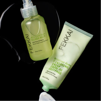 Shine + Anti Frizz Benefit Hair Model